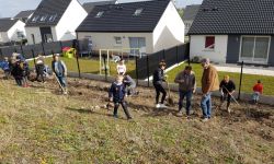 Plantations Cavalier   016